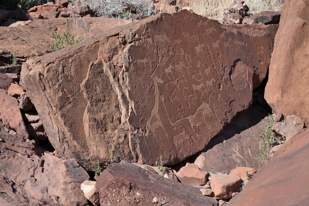 ציורים עתיקים ב-Twyfelfontein בנמיביה. צילום: Shutterstock