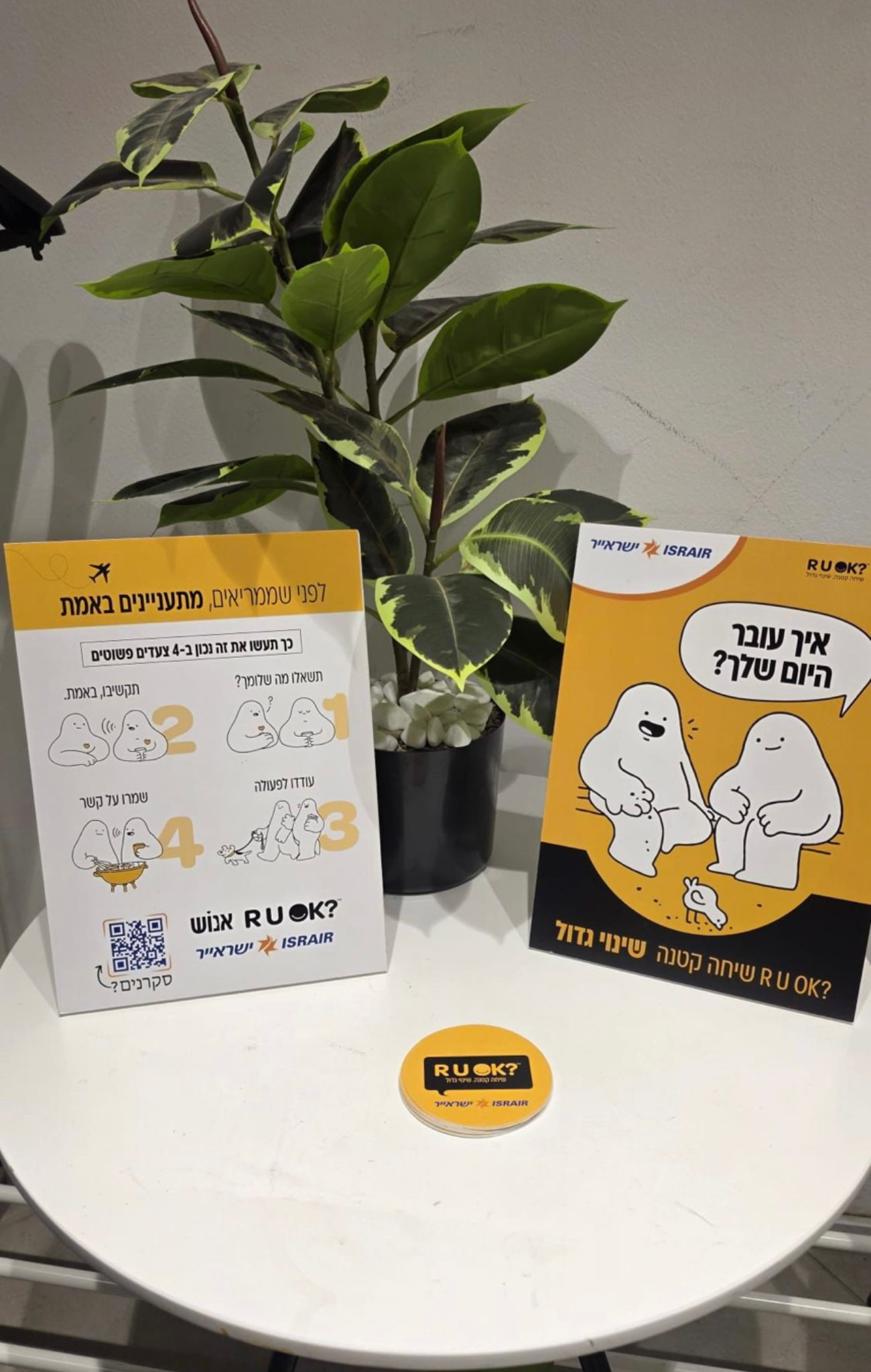 צילום שירה שנקר