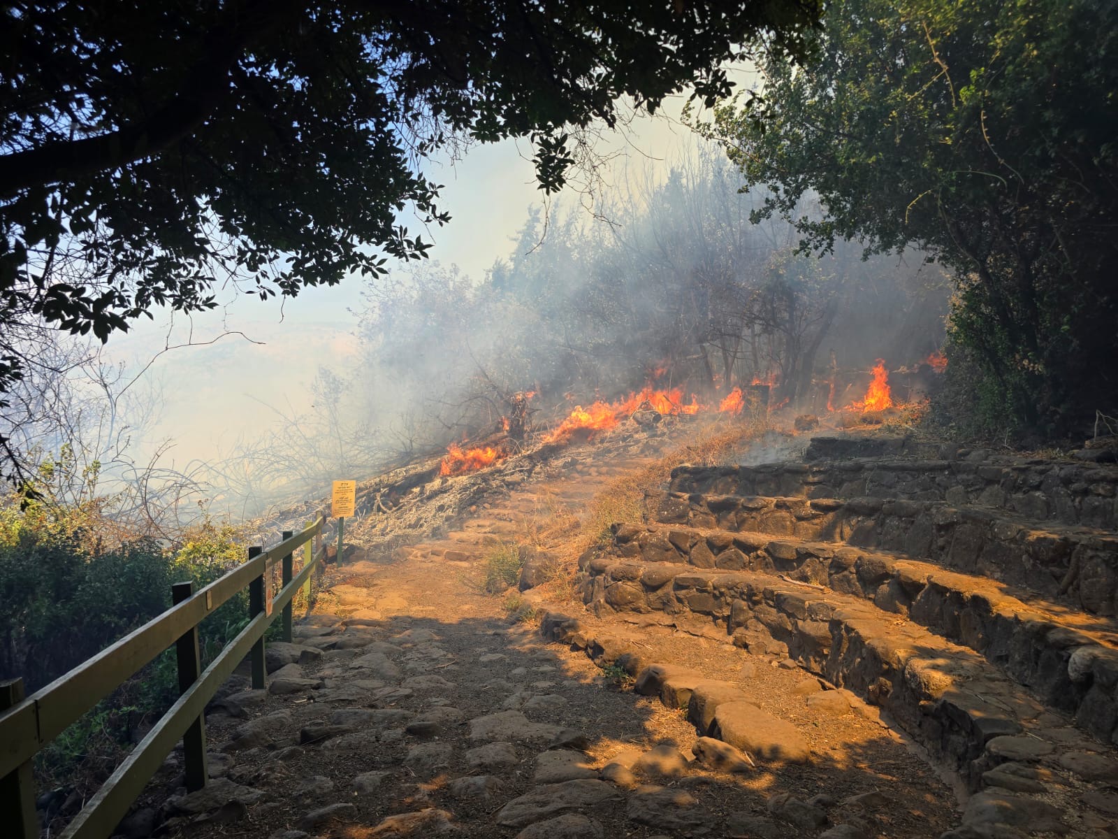 שמורת תל דן מוחי עיד רשות הטבע והגנים