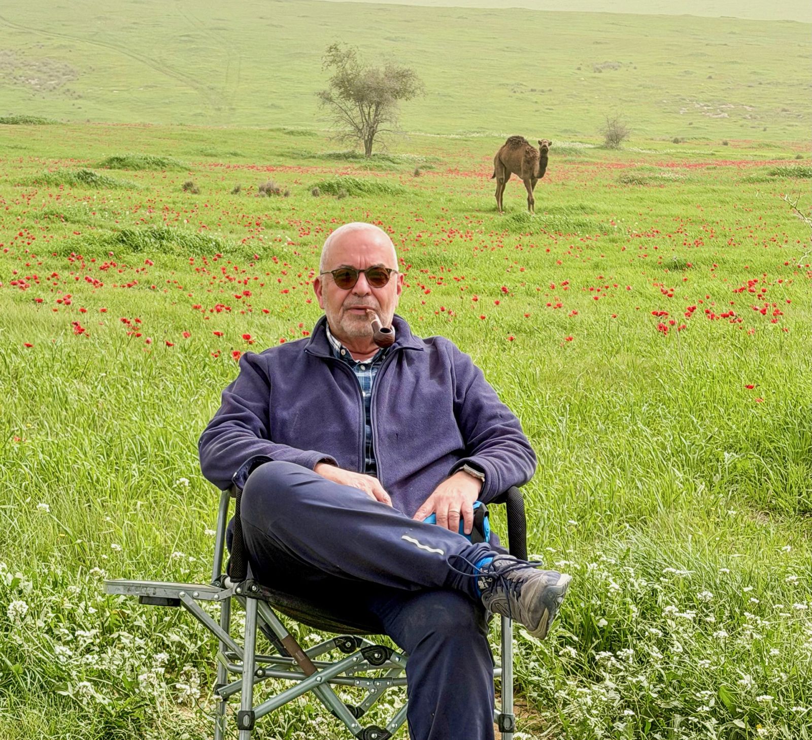 יוסי פתאל, מנכ"ל לשכת מארגני תיירות נכנסת. צילום: באדיבות יוסי פתאל
