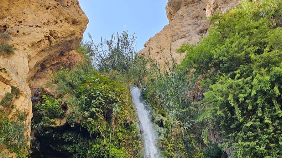 מפל דוד בשמורת עין גדי. צילום: עידו ביטרן, רשות הטבע והגנים