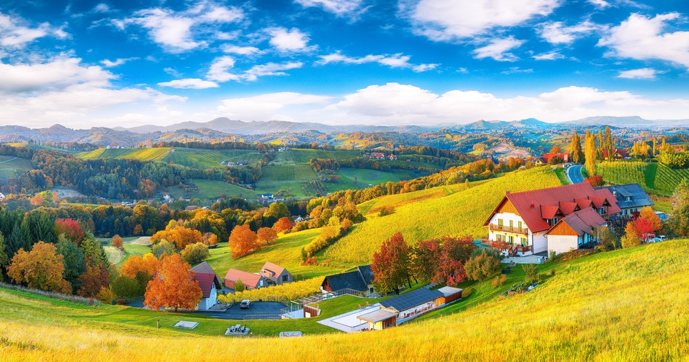 הכרמים ליד Gamlitz, שטיריה, אוסטריה. צילום: Shutterstock
