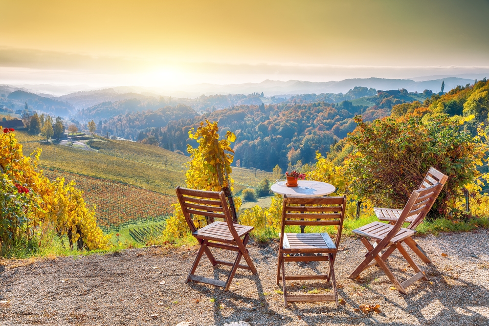 הכרמים ליד Gamlitz, שטיריה, אוסטריה. צילום: Shutterstock