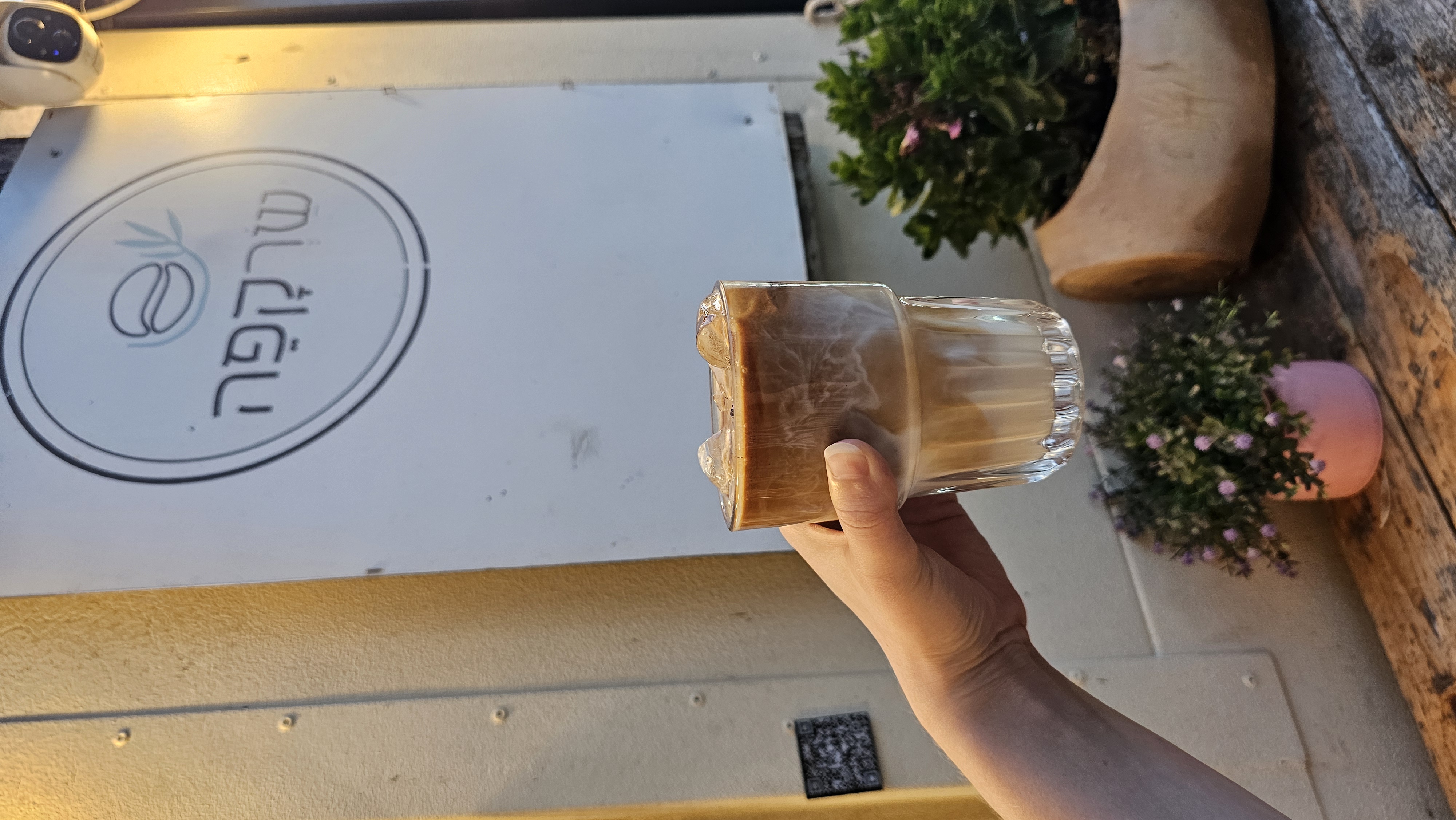 שרקפה בגבעת חביבה. צילום: אירה מקיינקו