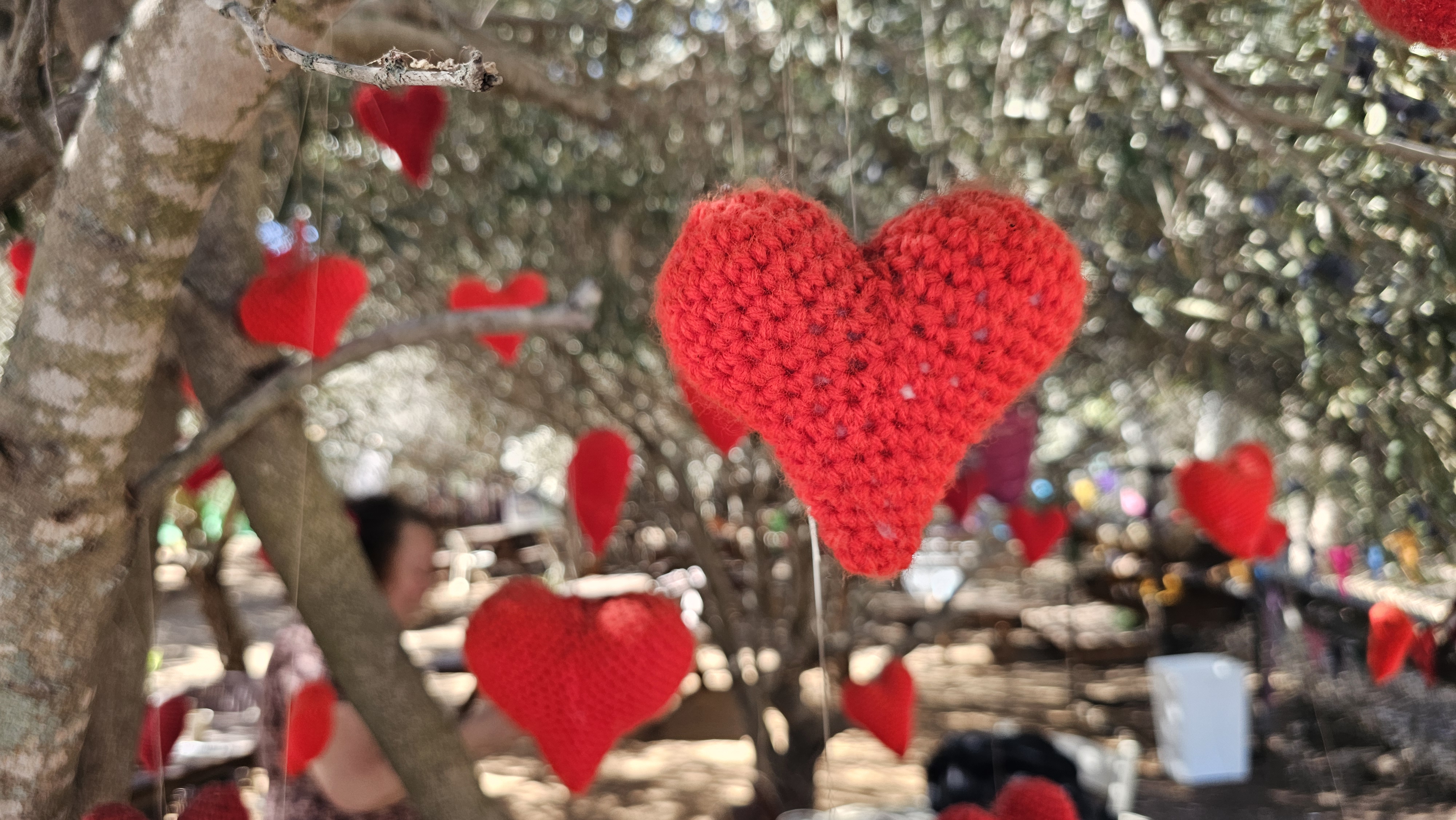 סורגות תקווה. צילום: אירה מקיינקו