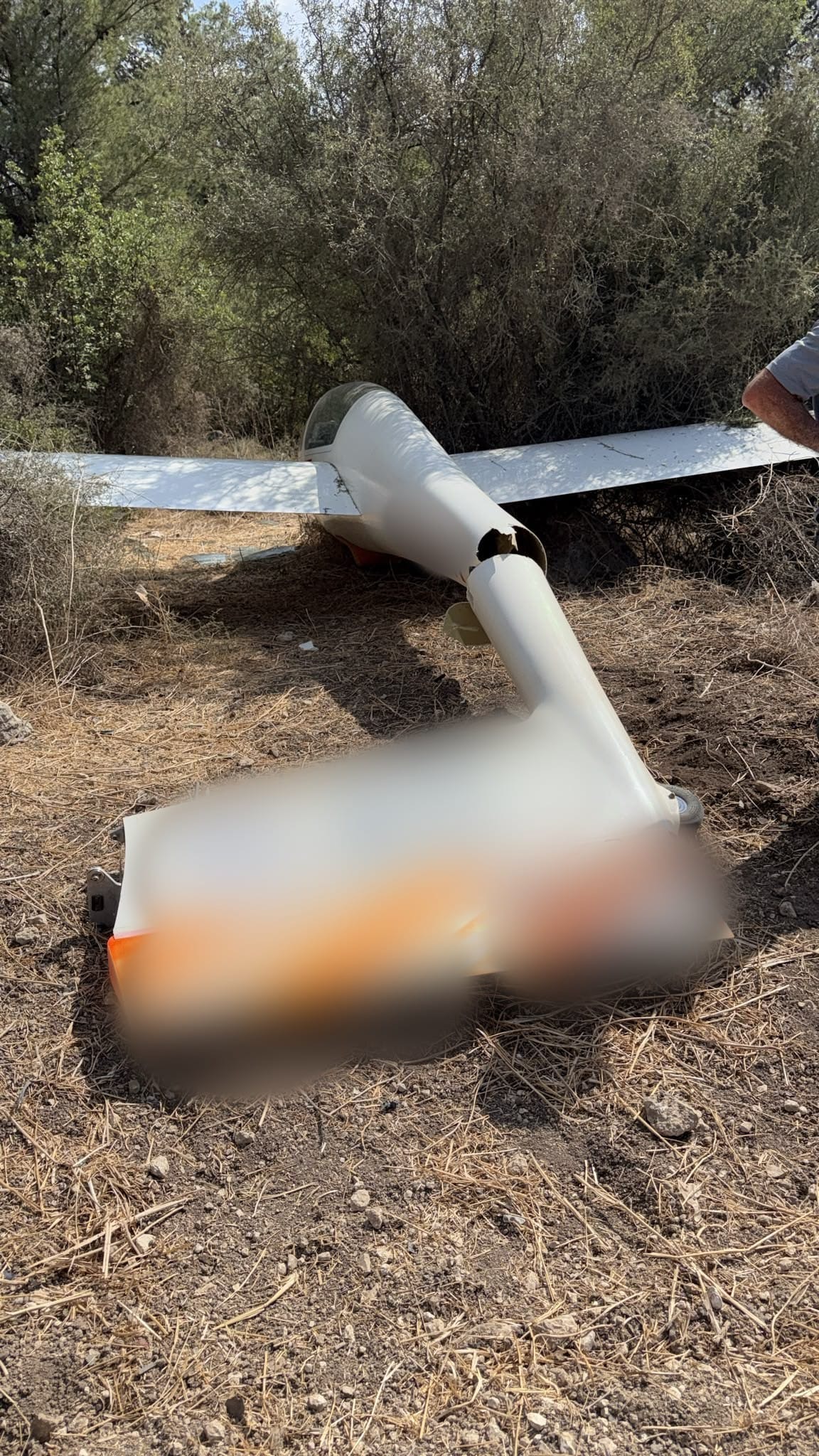 צילום: מד״א