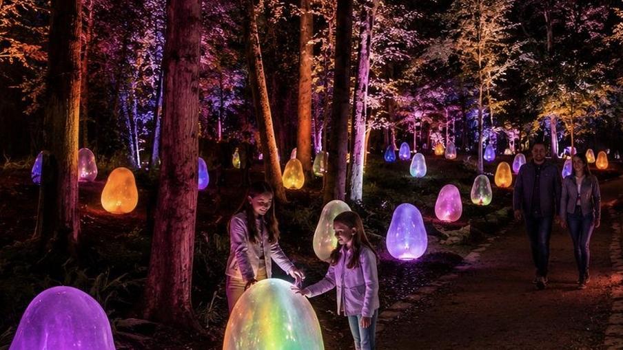 פסטיבל האור LUMAGICA. צילום: MK ILLUMINATION