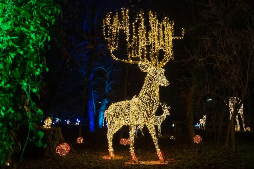פסטיבל האור LUMAGICA. צילום: MK ILLUMINATION