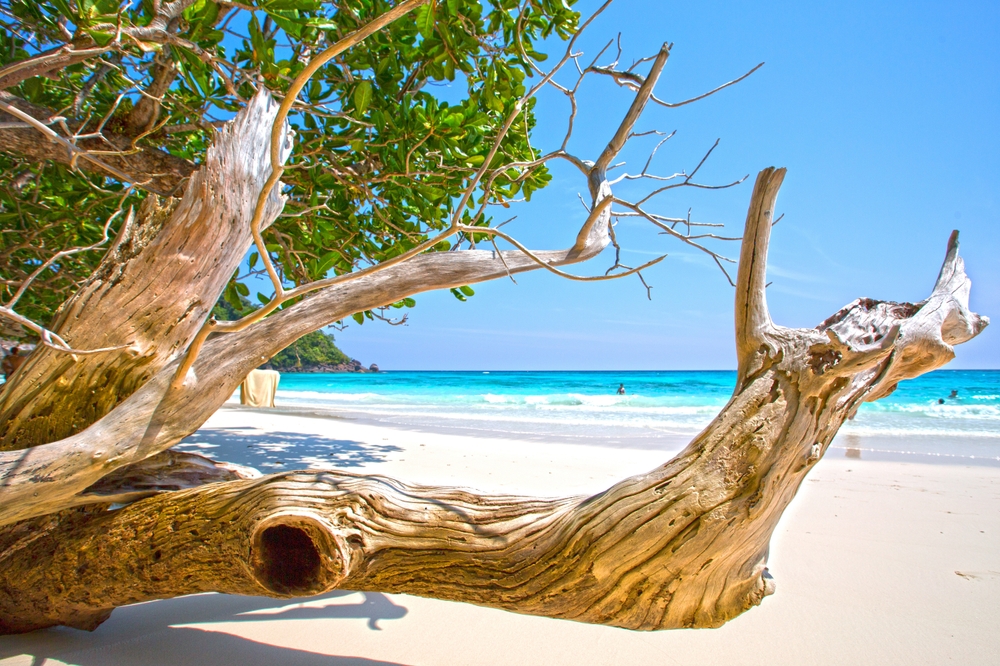 Similan Islands. צילום: Shutterstock