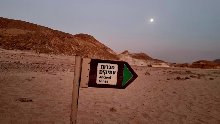 סיור לילה בפארק תמנע. צילום: ספיר פרץ