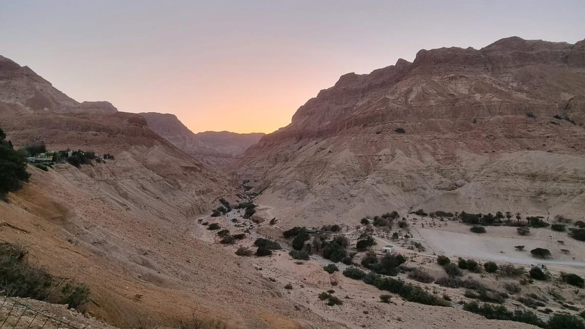 עין גדי