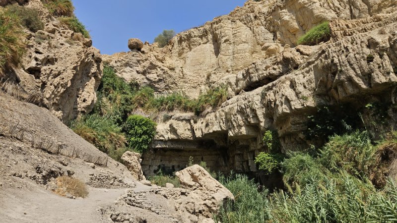 אזור האסון בנחל דוד אזור האסון בנחל דוד