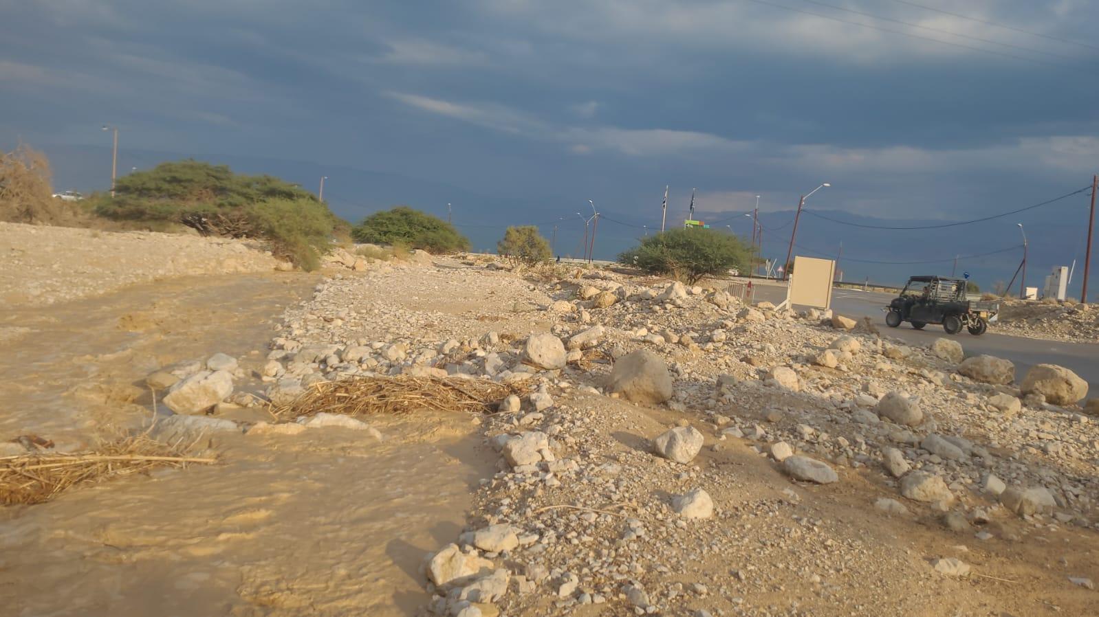 טישפון נחל דוד גל ראשון