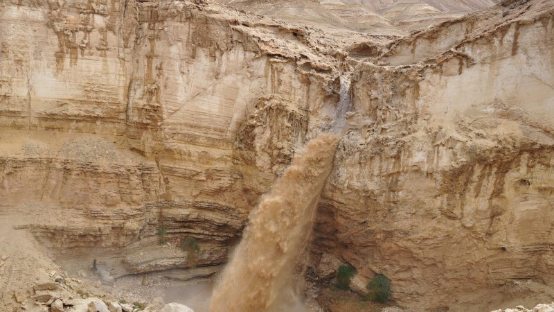 צילום: Shutterstock צילום: Shutterstock