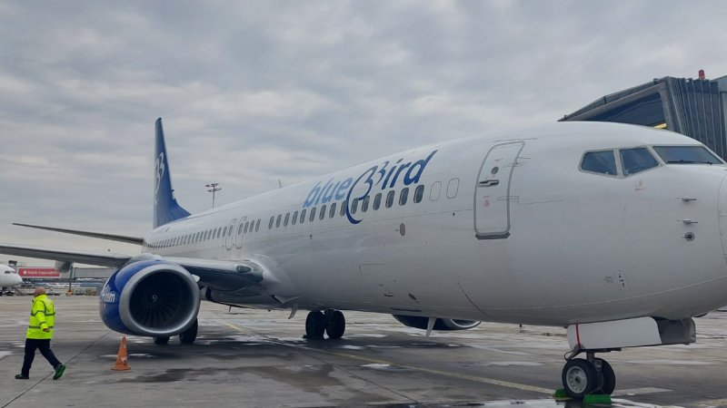 בלובירד. צילום: באדיבות BLUEBIRD בלובירד. צילום: באדיבות BLUEBIRD