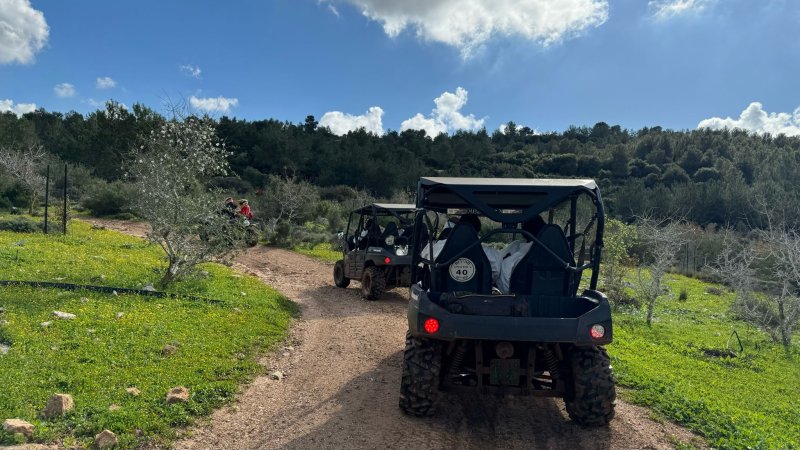 צילום: ניצן אביטל צילום: ניצן אביטל