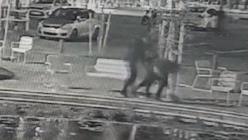 שוד אלים בתל אביב (מתוך התיעוד של משטרת ישראל) שוד אלים בתל אביב (מתוך התיעוד של משטרת ישראל)