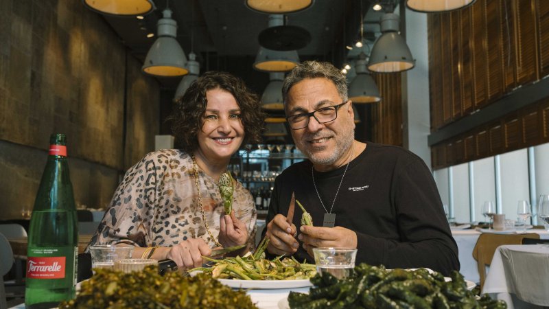 נסיבה סמארה ושף חיים כהן, פרויקט דורוז נסיבה סמארה ושף חיים כהן, פרויקט דורוז