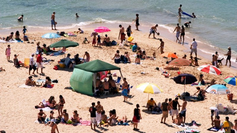 שרב בישראל (צילום: SHUTTERSTOCK) שרב בישראל (צילום: SHUTTERSTOCK)