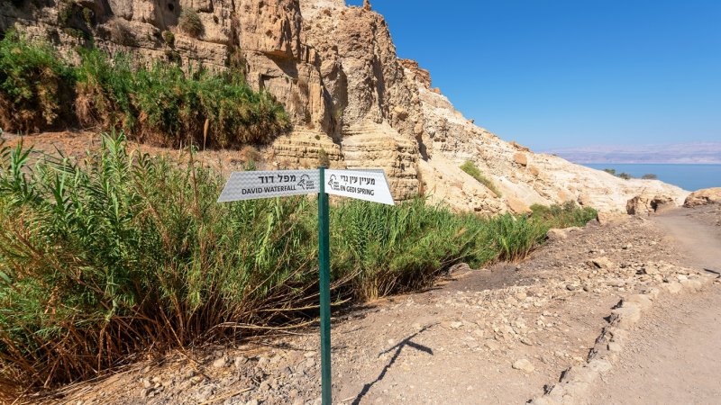 מטיילים בארץ מטיילים בארץ