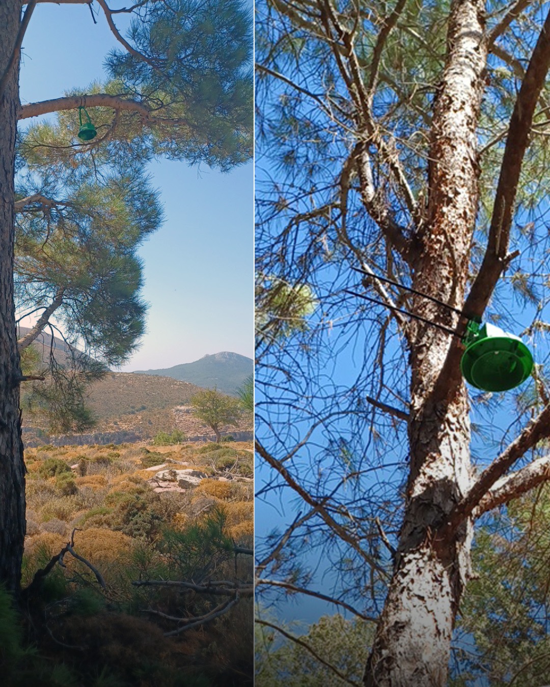 Rhodes. Photo: Rhodes Municipality