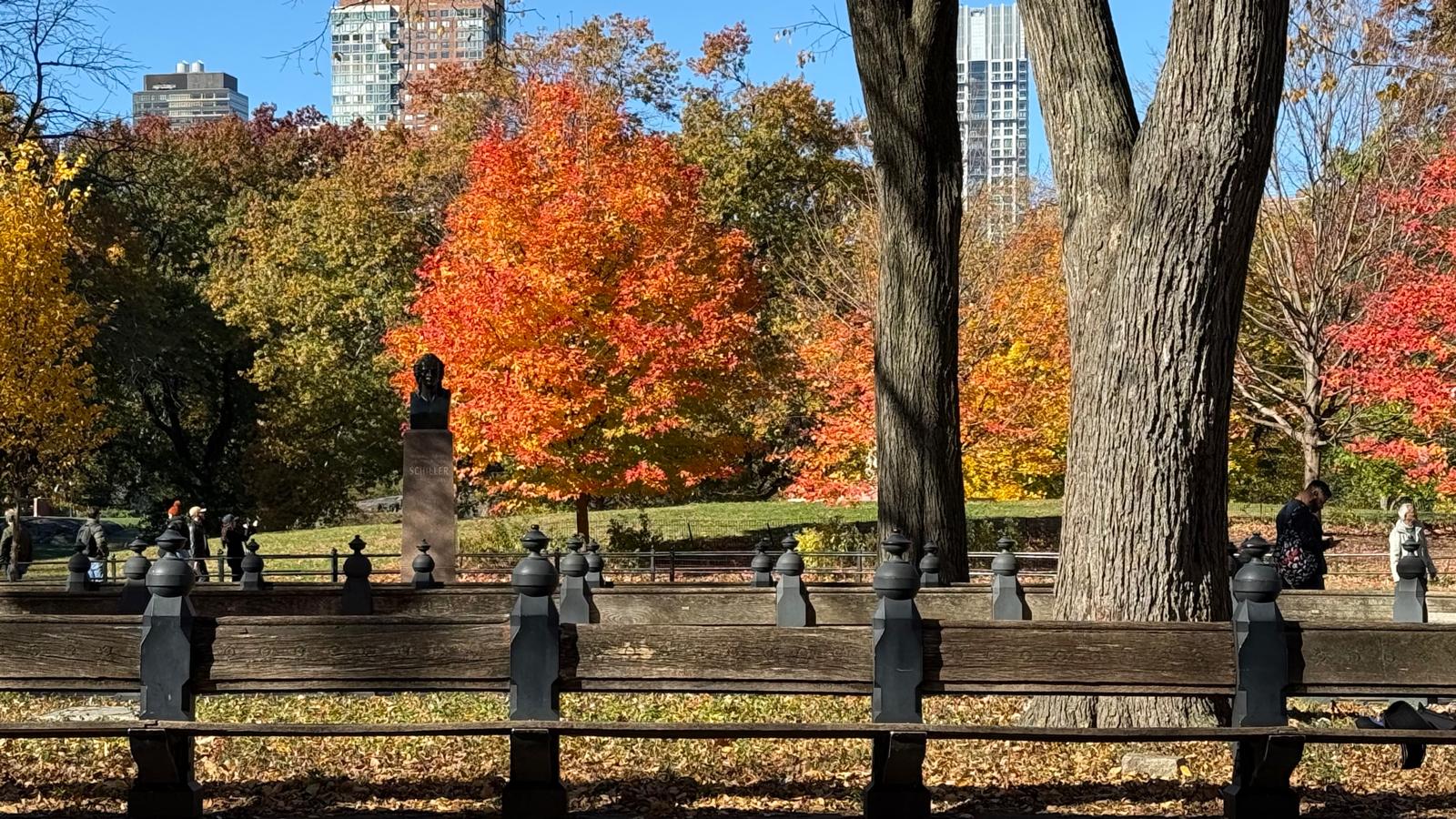 Central Park. Photo: Uri Avrotsky