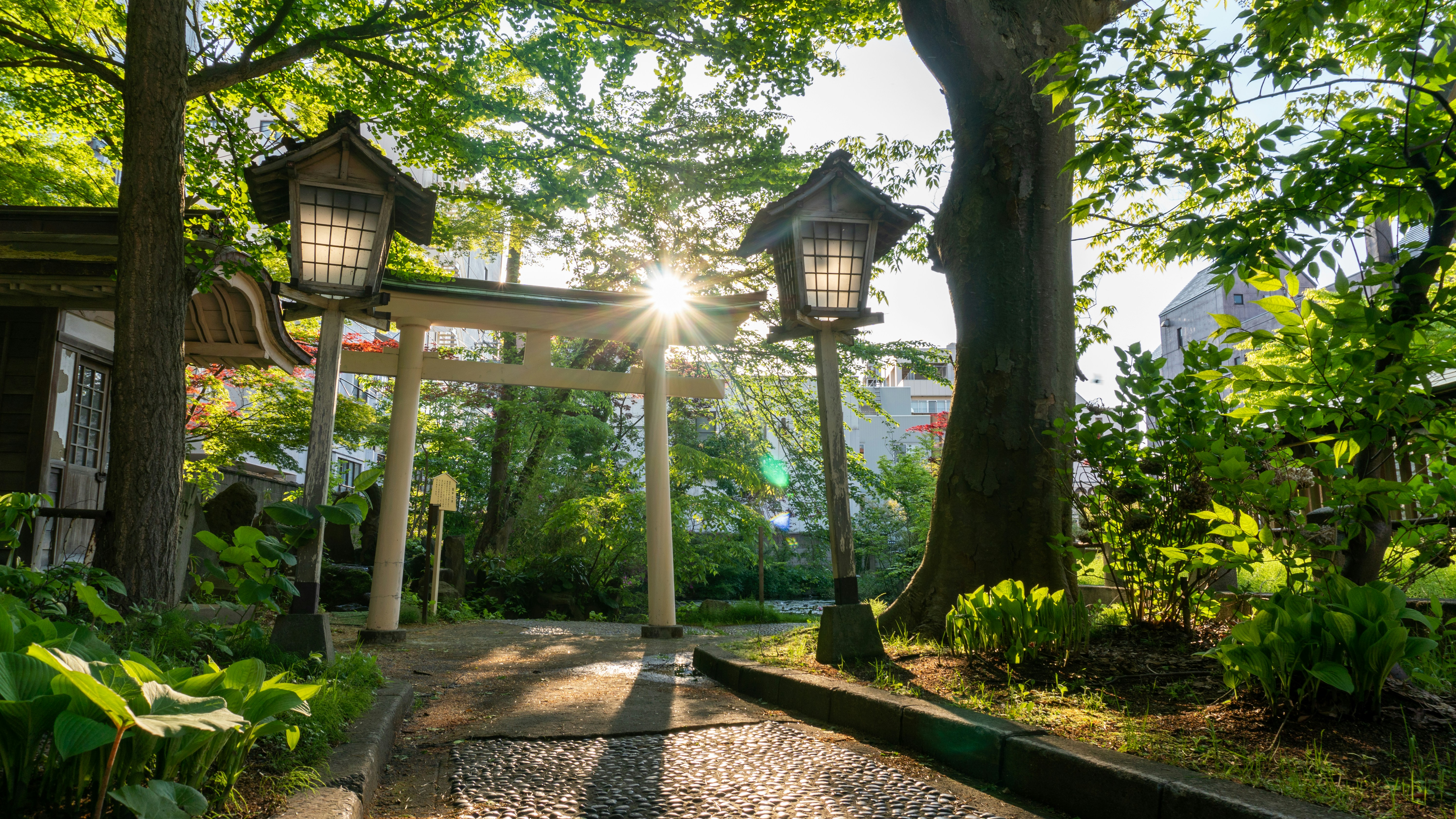 Japan. Source: Nicko Cruises 