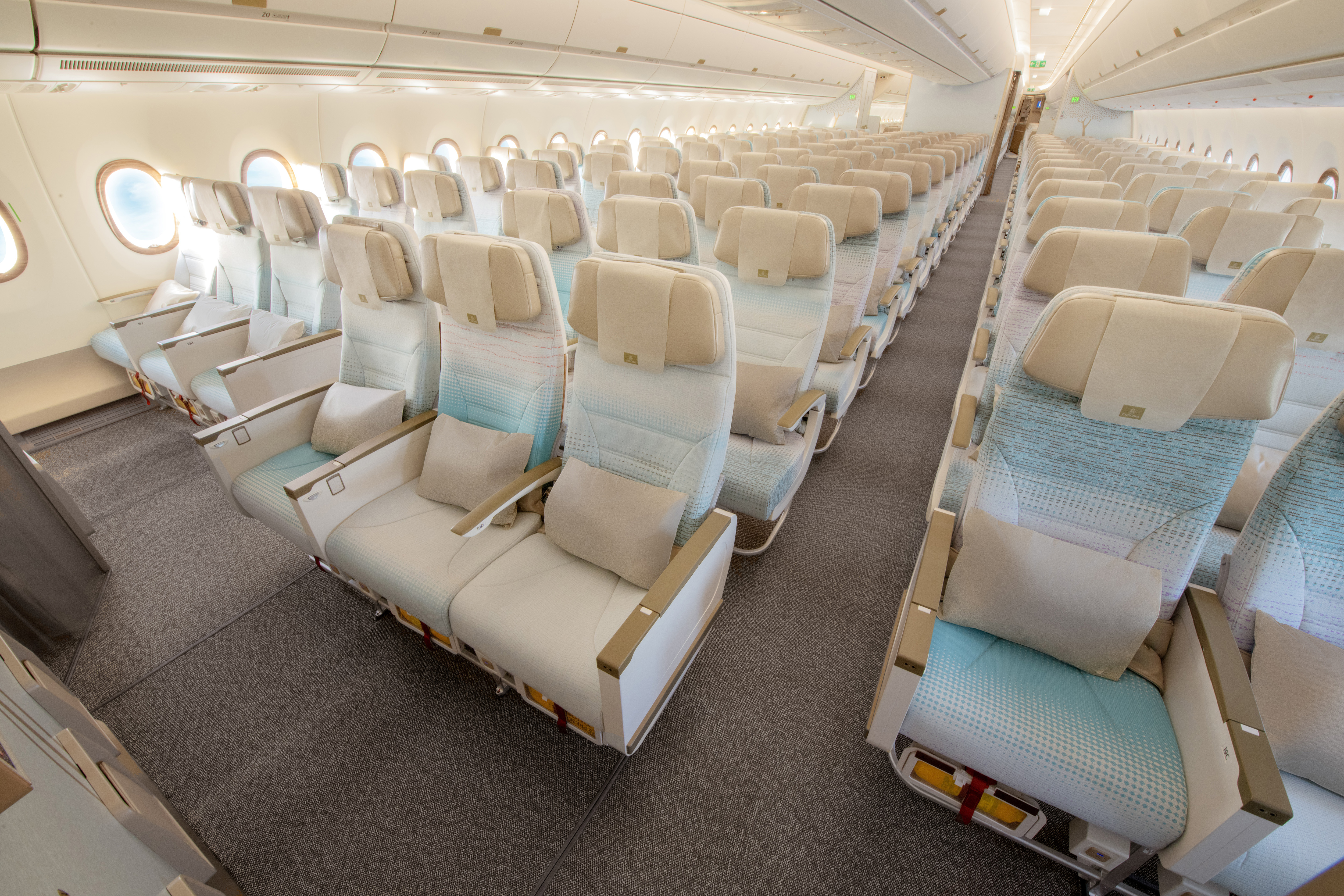 Economy class on an EMIRATES A350. Photo: EMIRATES