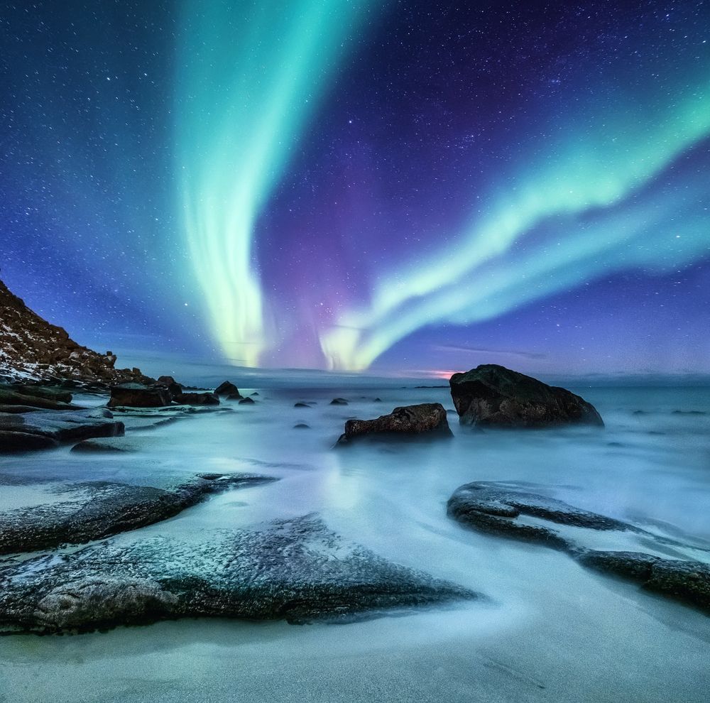 Aurora borealis on the Lofoten islands, Norway. Photo: Shutterstock