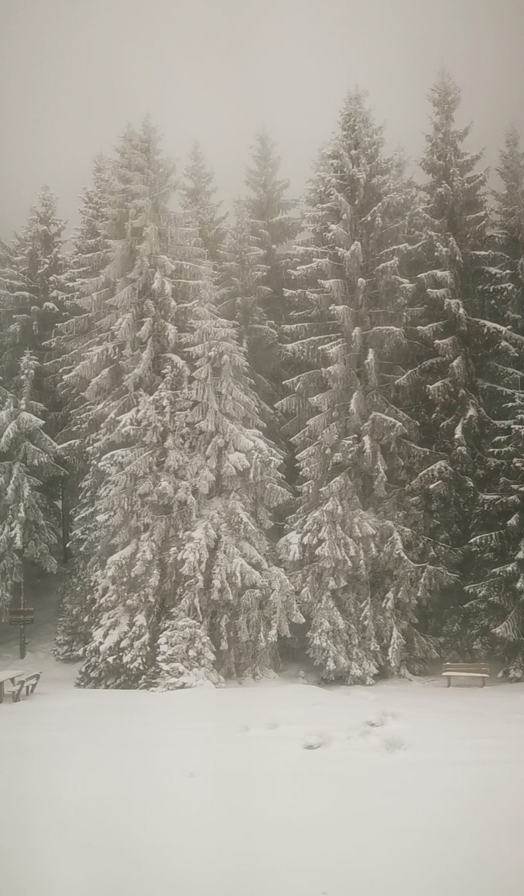 Bad weather warning. Photo: Alex Igna