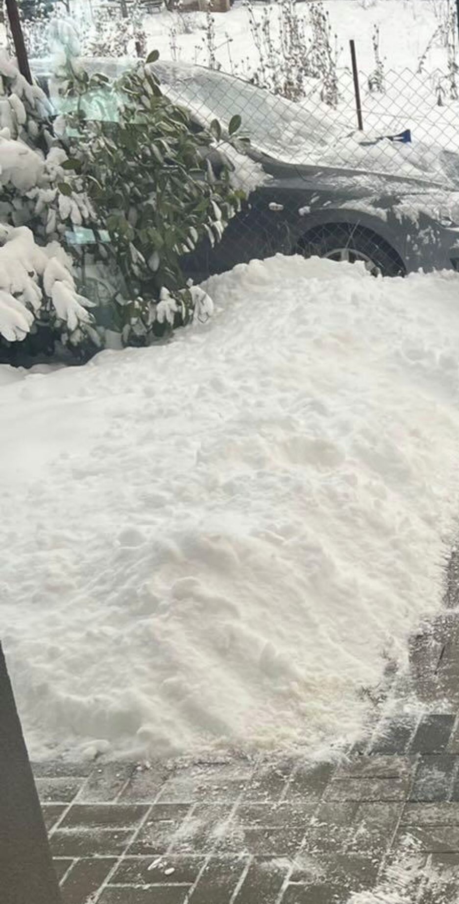 Heavy snow fall. Photo: Alex Igna