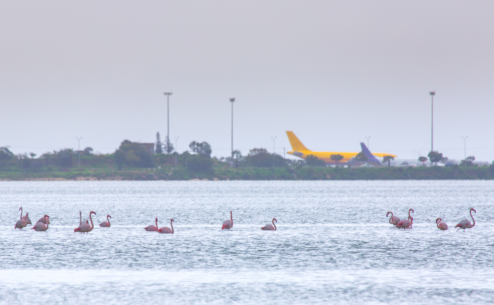 Larnaca Airport. Photo: Shutterstock