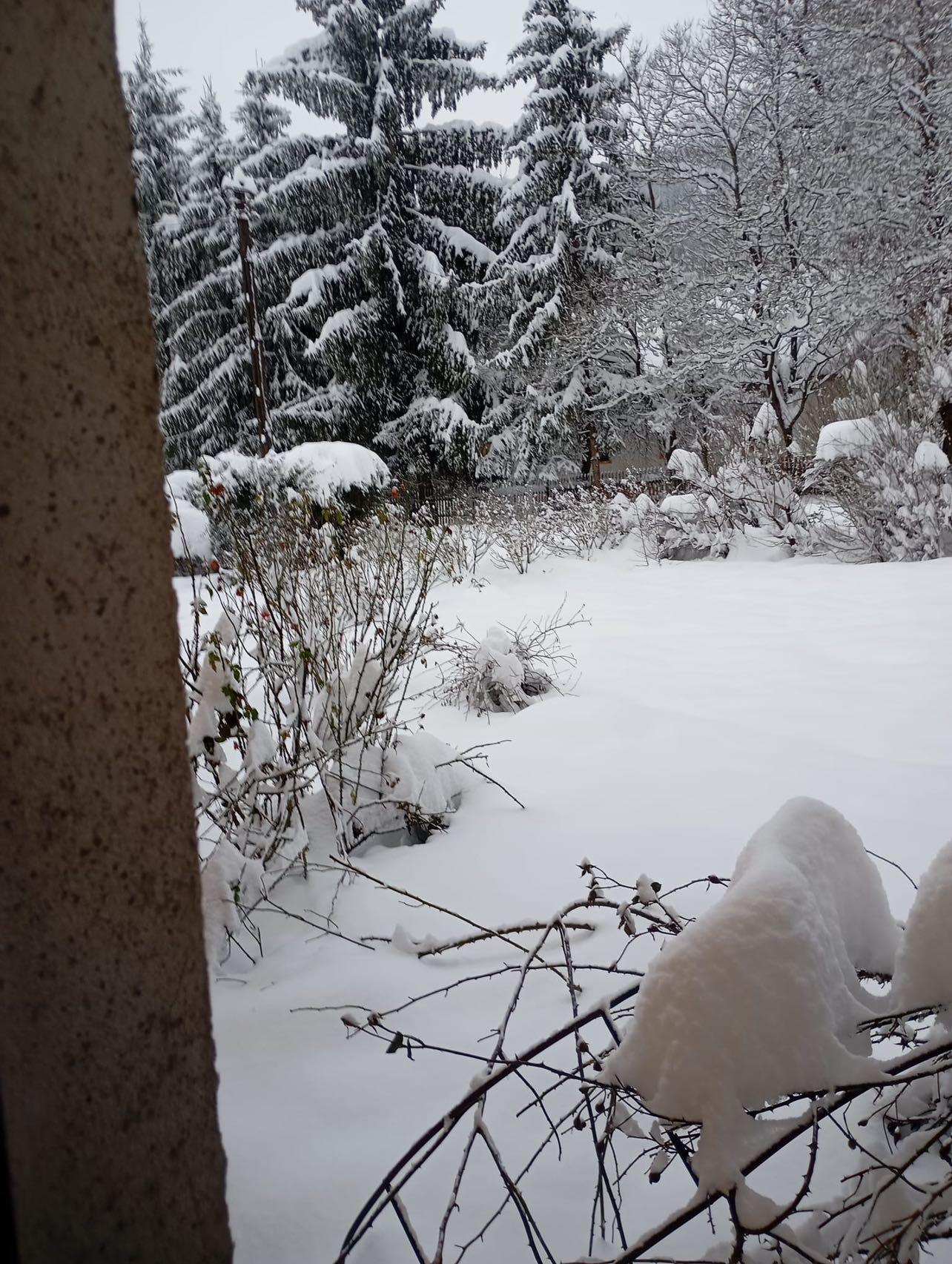 Snow. Photo: Alex Igna