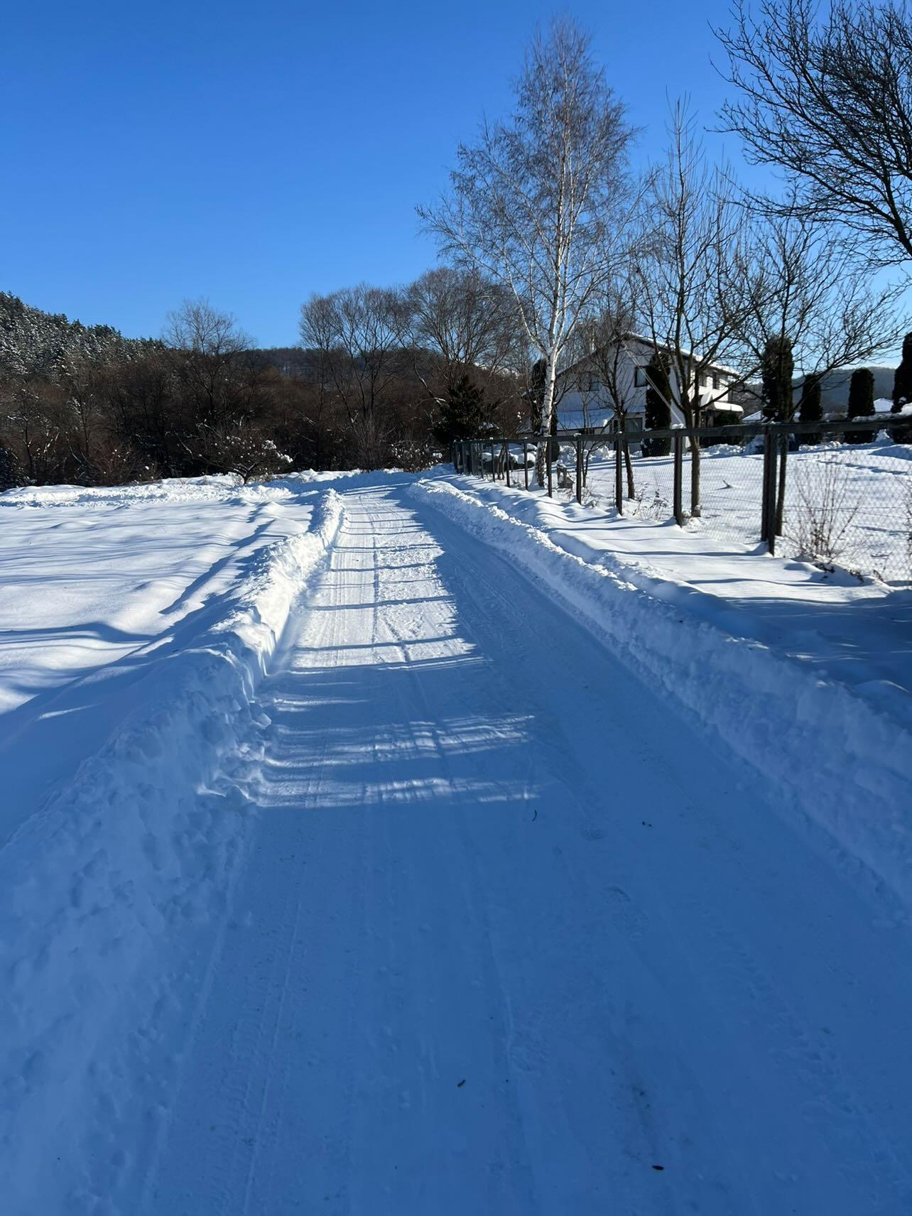 Snow in the winter. Photo: Alex Igna