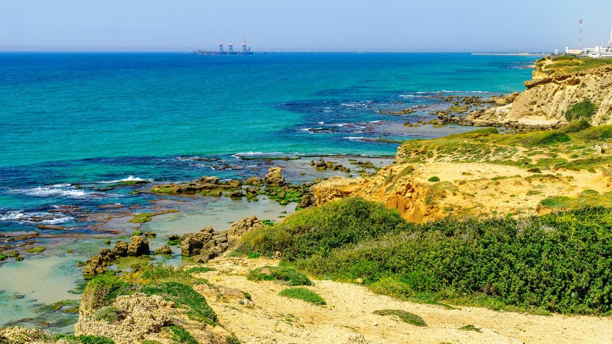 צילום: SHUTTERSTOCK