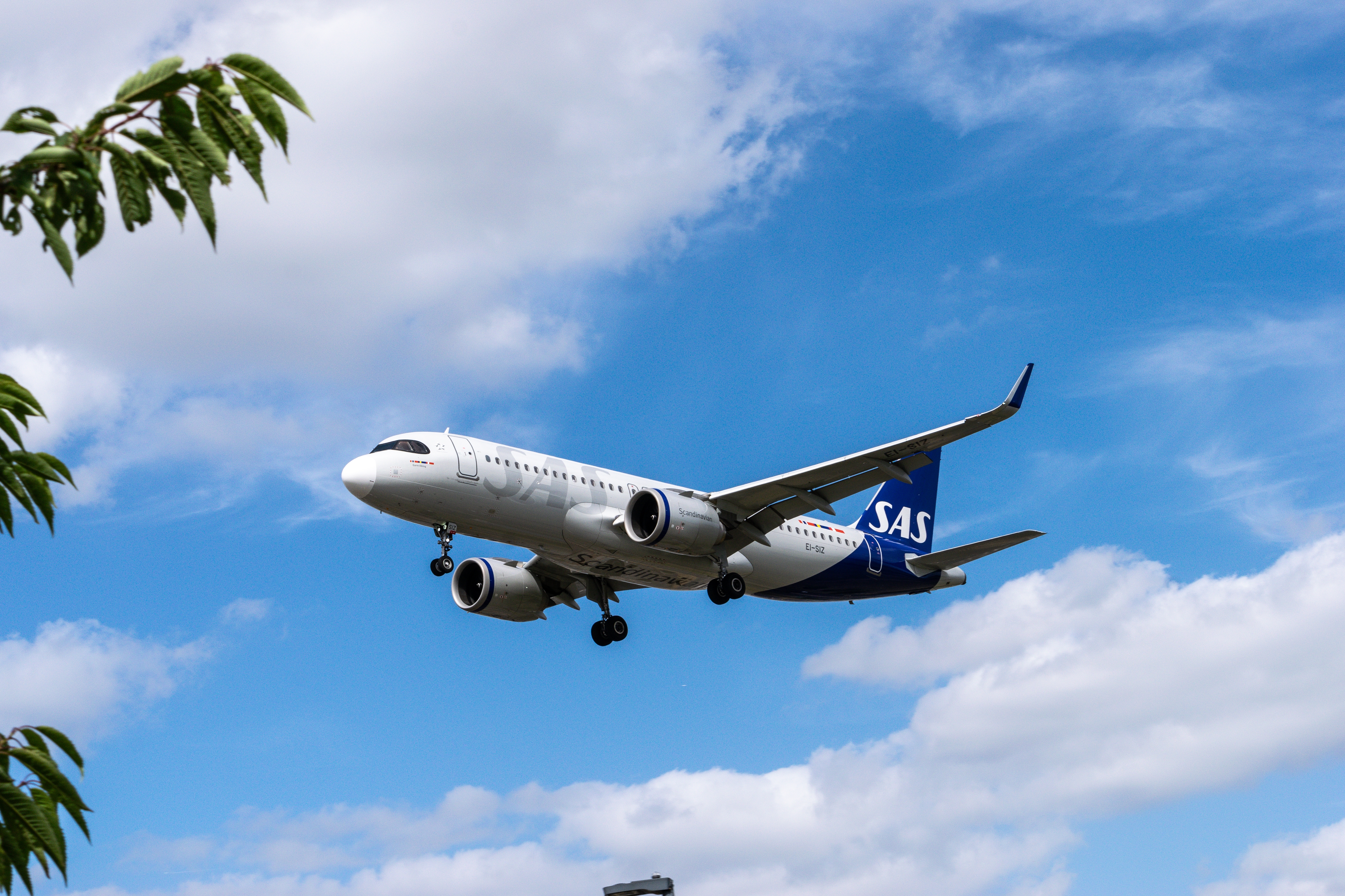 SAS aircraft. Photo: wael alreweie / Shutterstock
