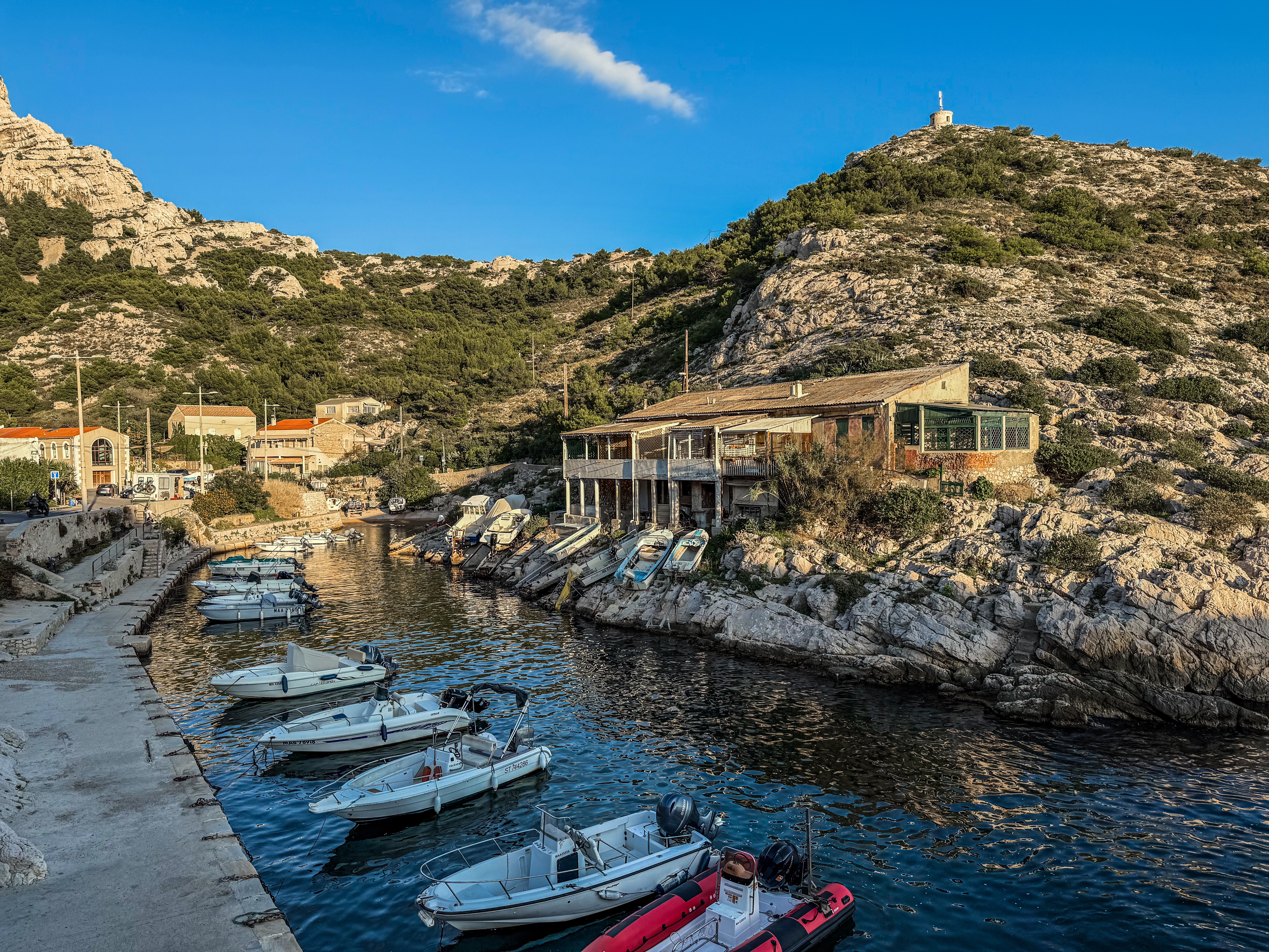 Marseiile. Photo: Eric Isselee / Shutterstock