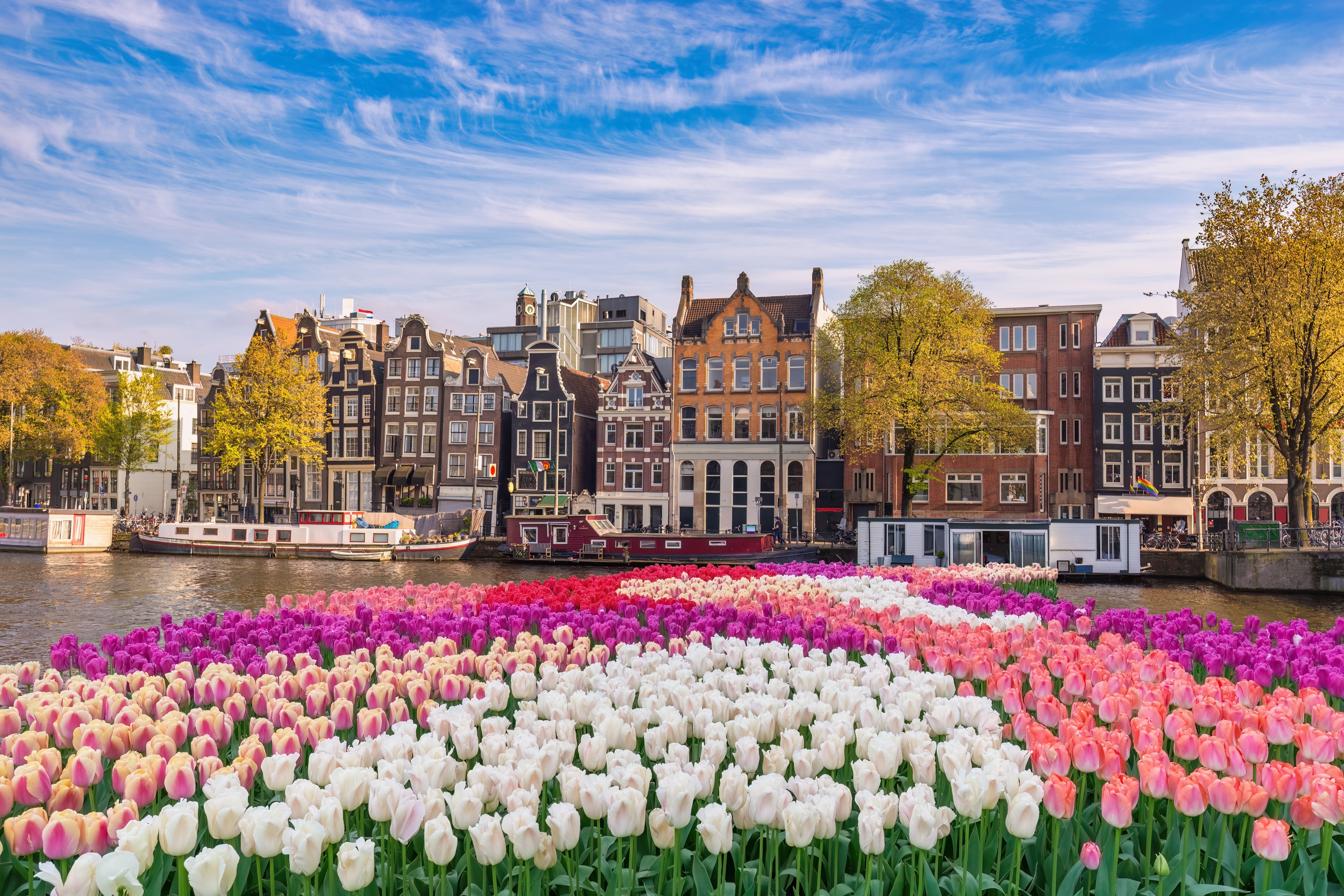 Amsterdam, the Netherlands. Photo: Noppasin Wongchum / Shutterstock
