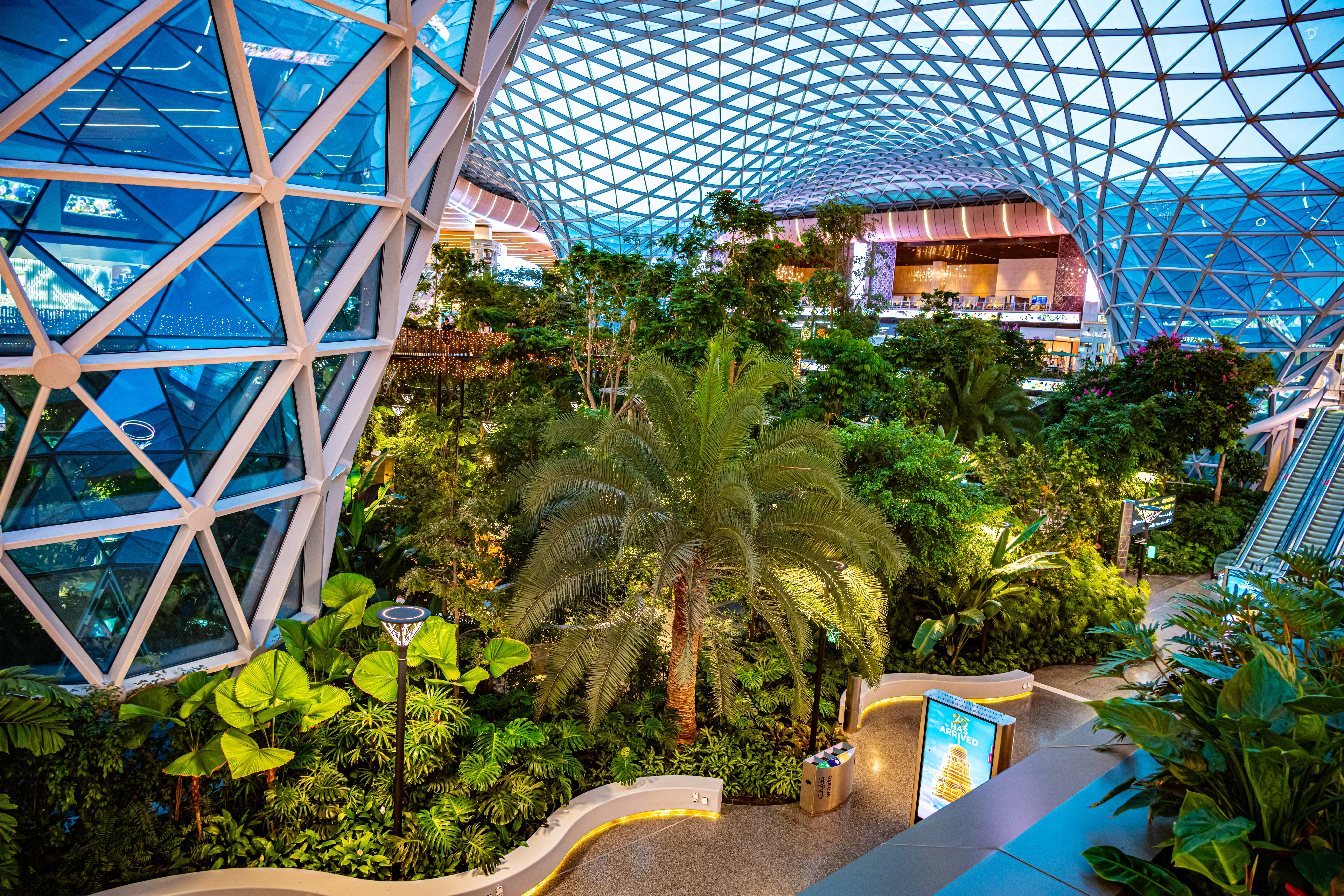 Doha Hamad International Airport. Photo: monticello / Shutterstock