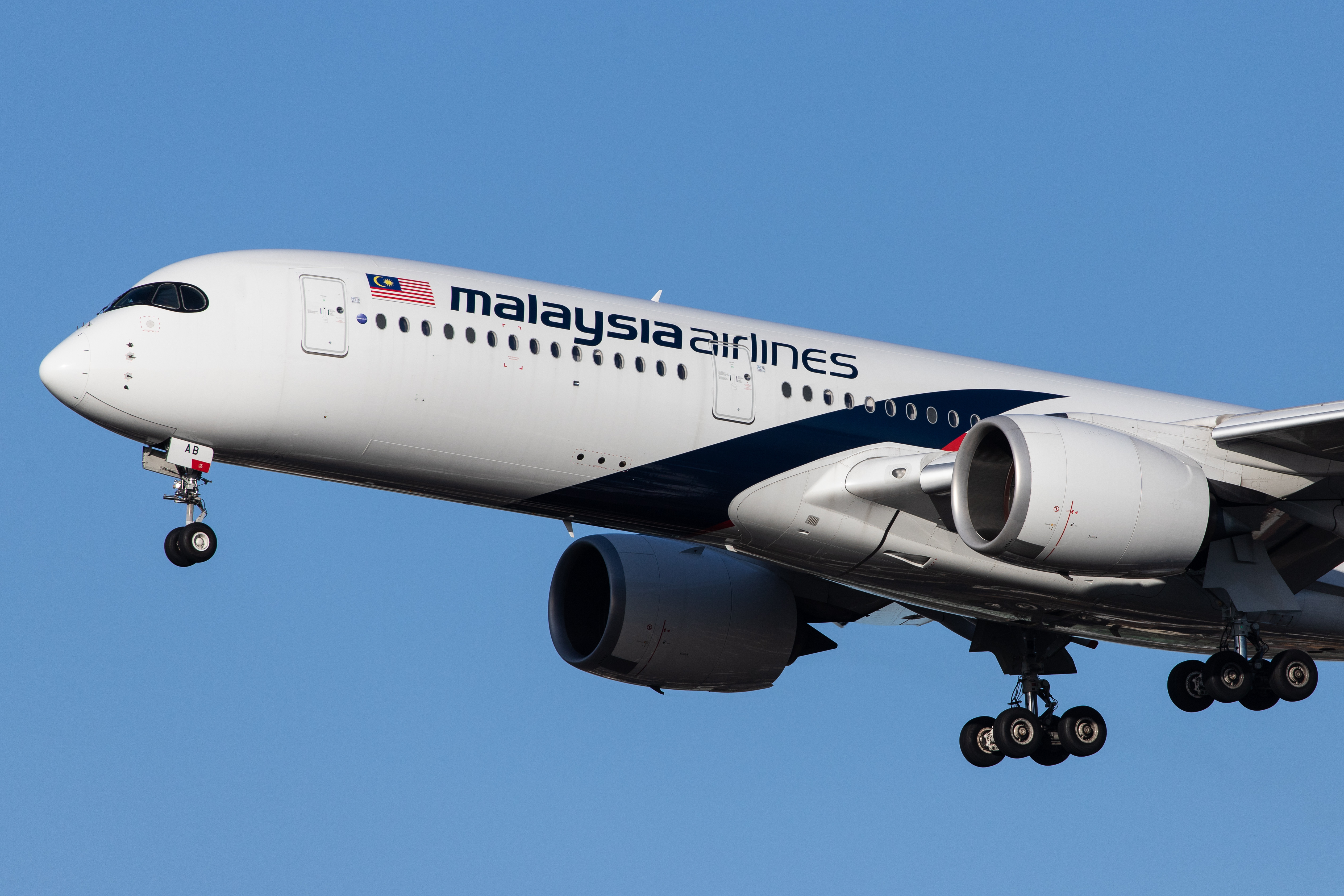 Malaysia Airlines. hoto: Wirestock Creators / Shutterstock