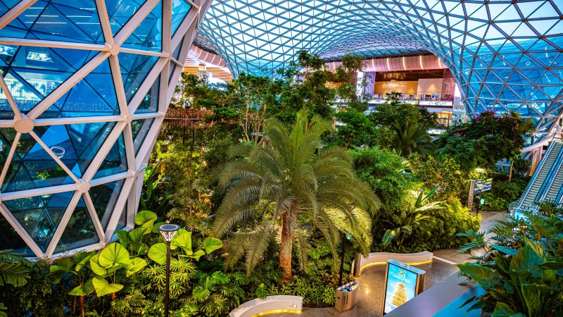 Hamad International Airport. Photo: monticello / Shutterstock