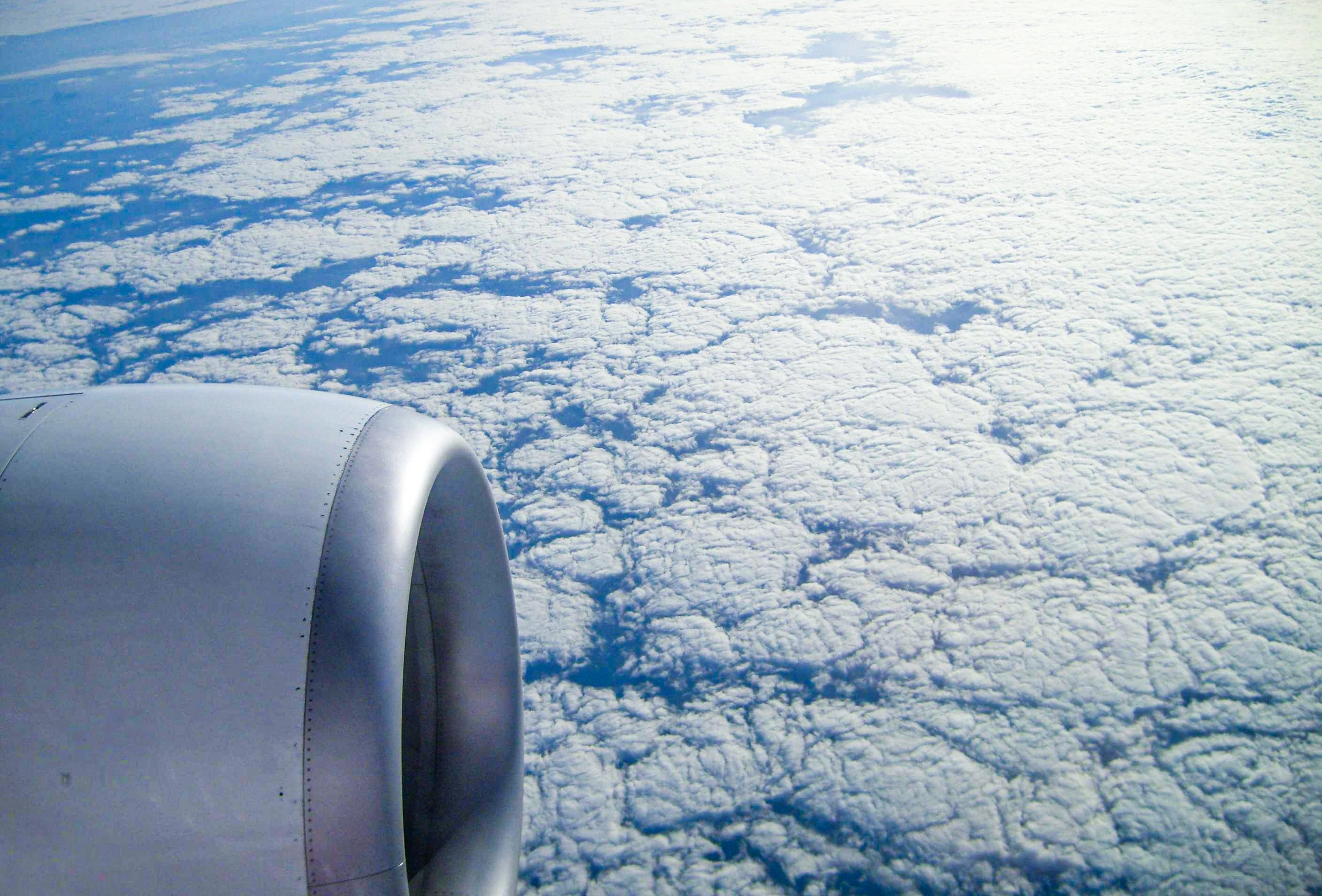 Flying in 20206 is more expensive. Photo: TN Creative Visuals / Shutterstock