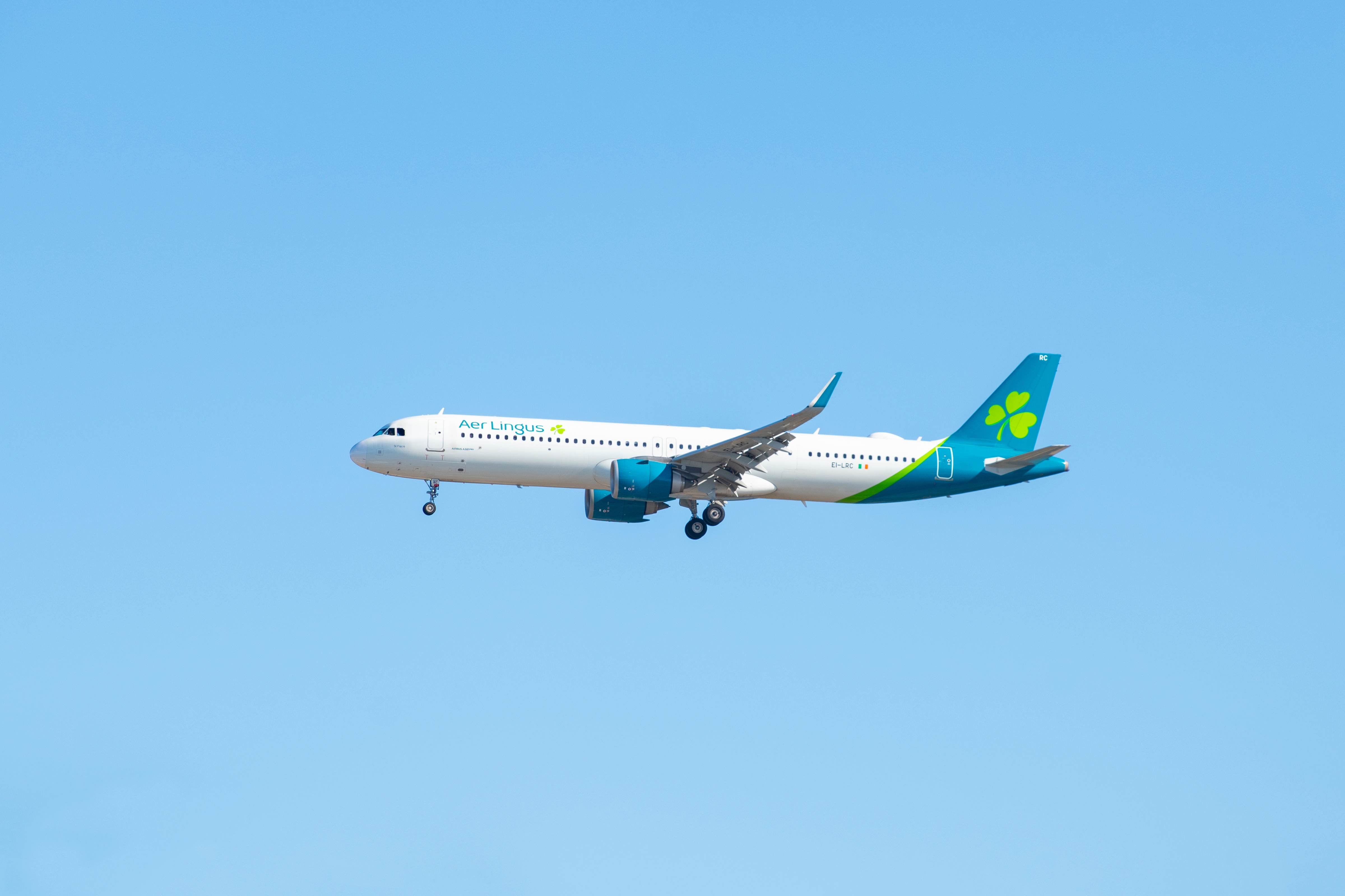 Aer Lingus. Photo: Wangkun Jia / Shutterstock