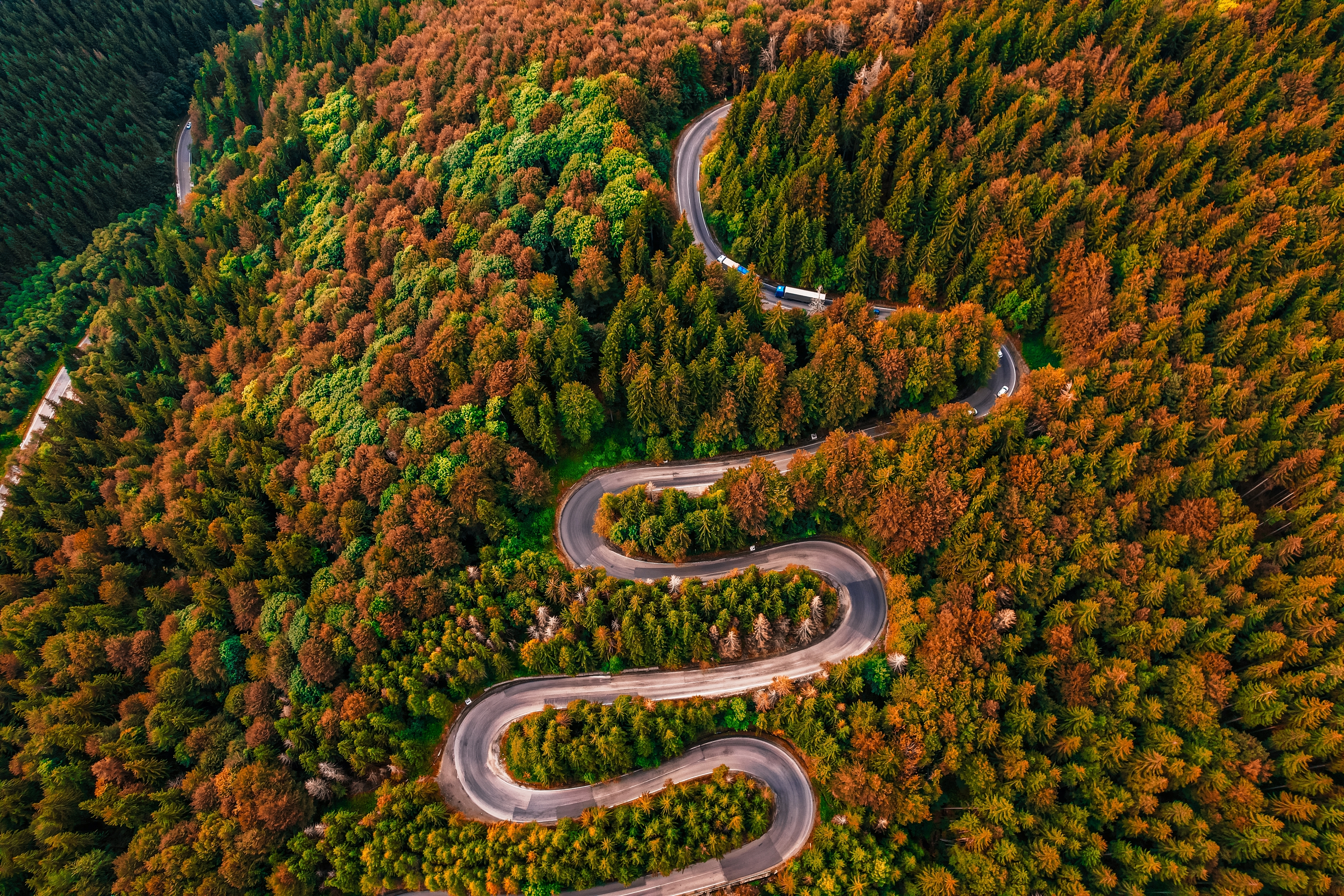 Cheia Road, Brasov, Romania. Photo: Shutterstock