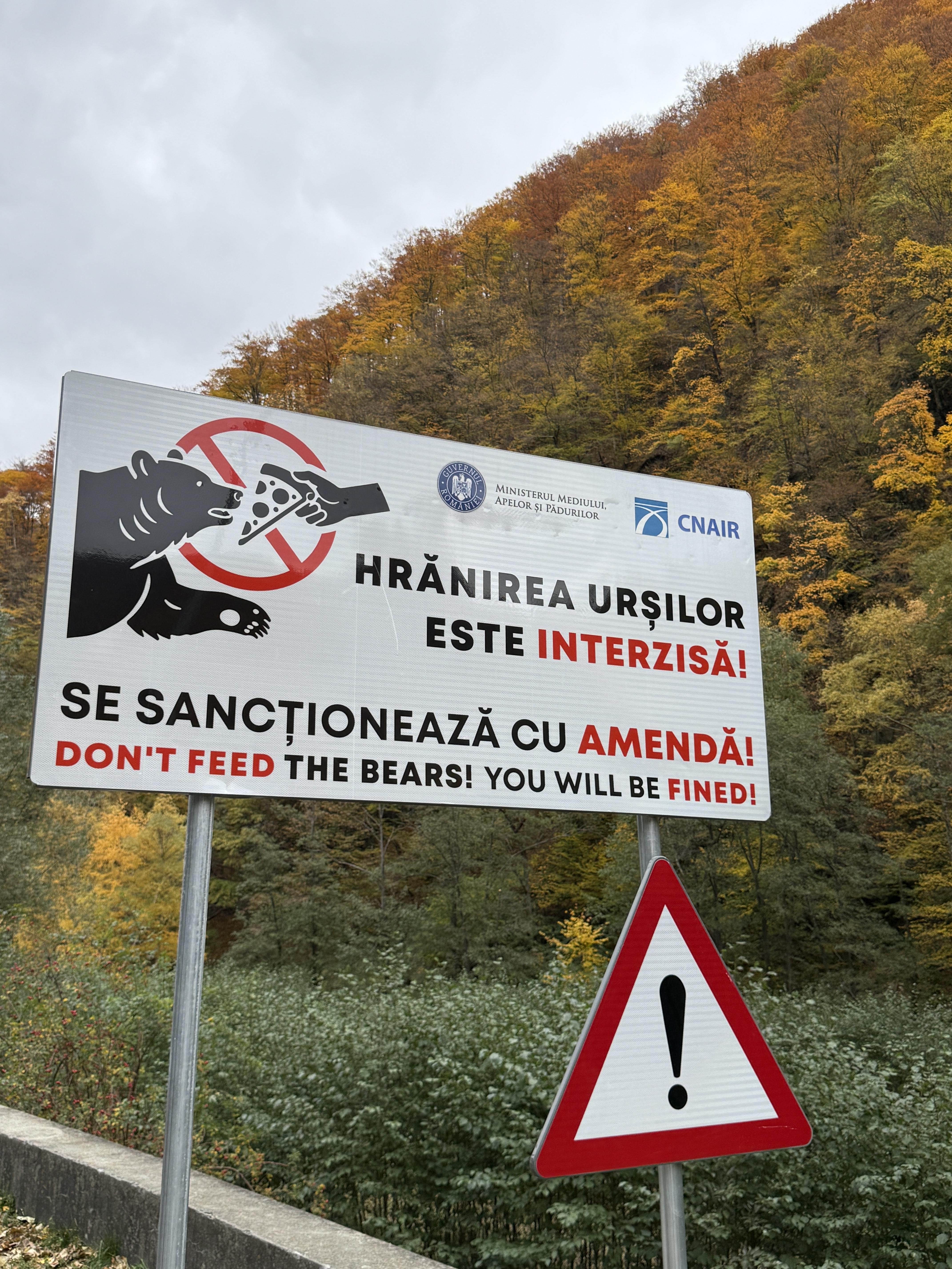 Don't feed the bears sign in Romania. Photo:  Erika Cristina Manno / Shutterstock.com