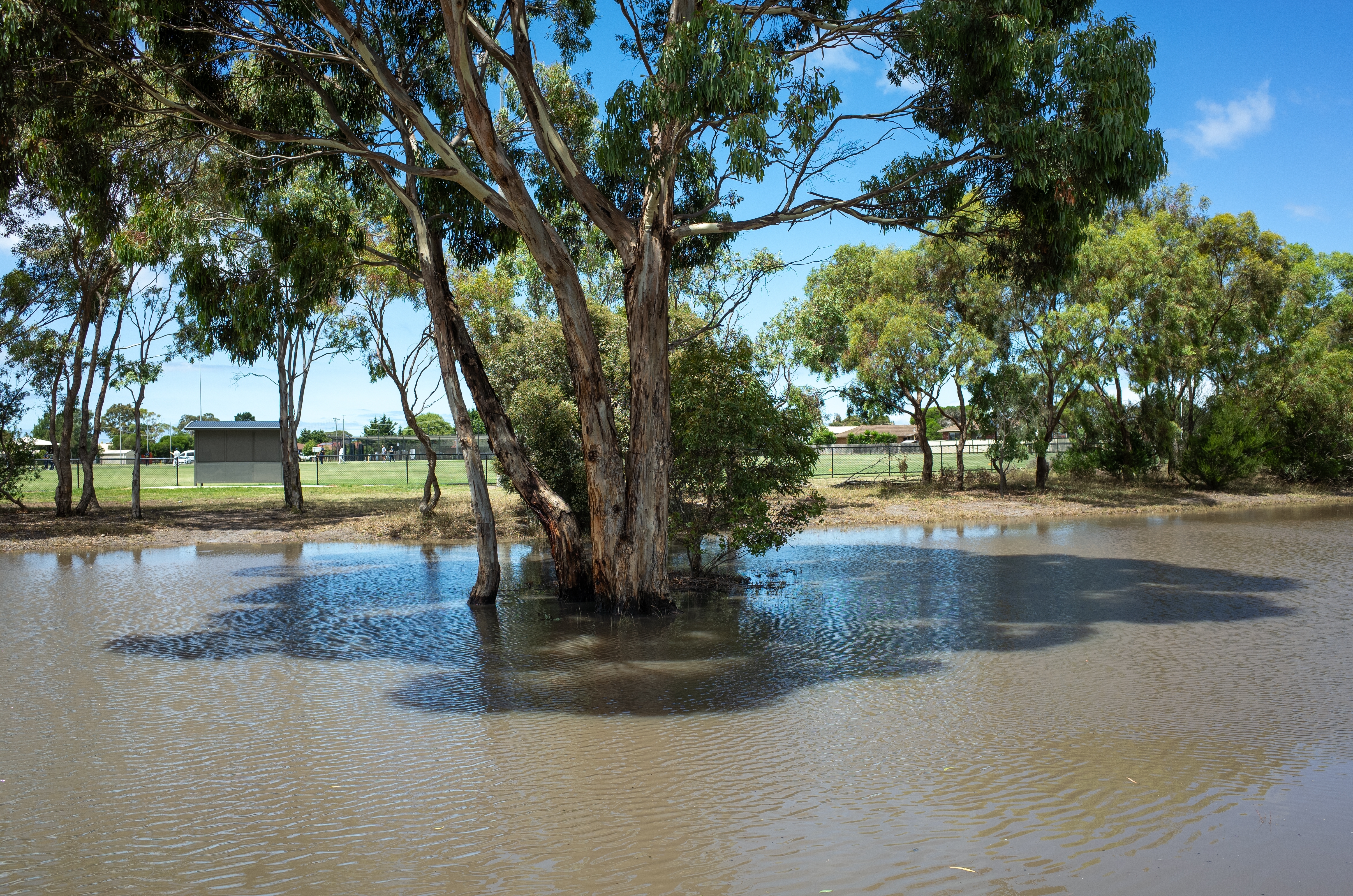 Flood in Melbourne. Photo: Shutterstock