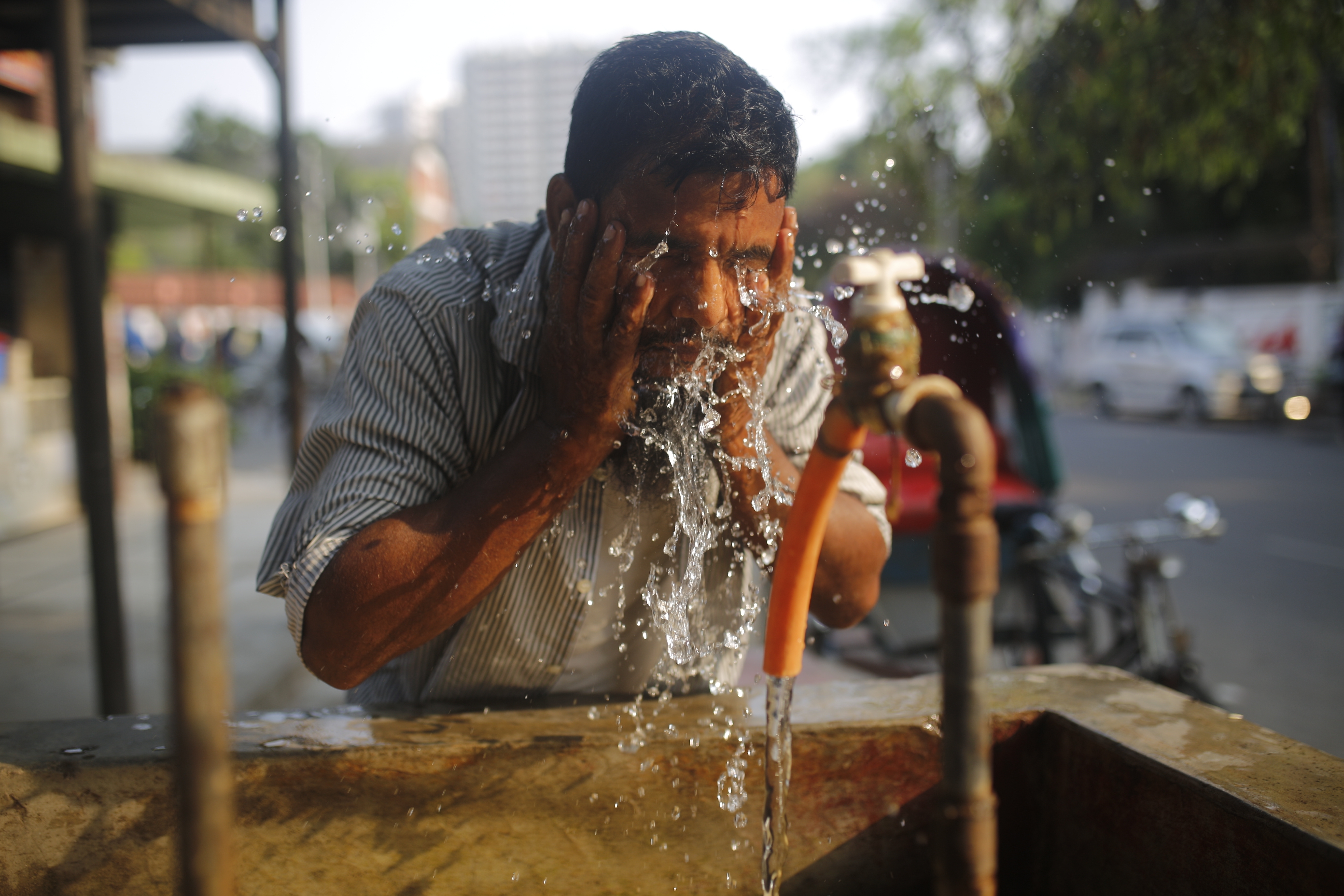 Photo: Rehman Asad / Shutterstock.com