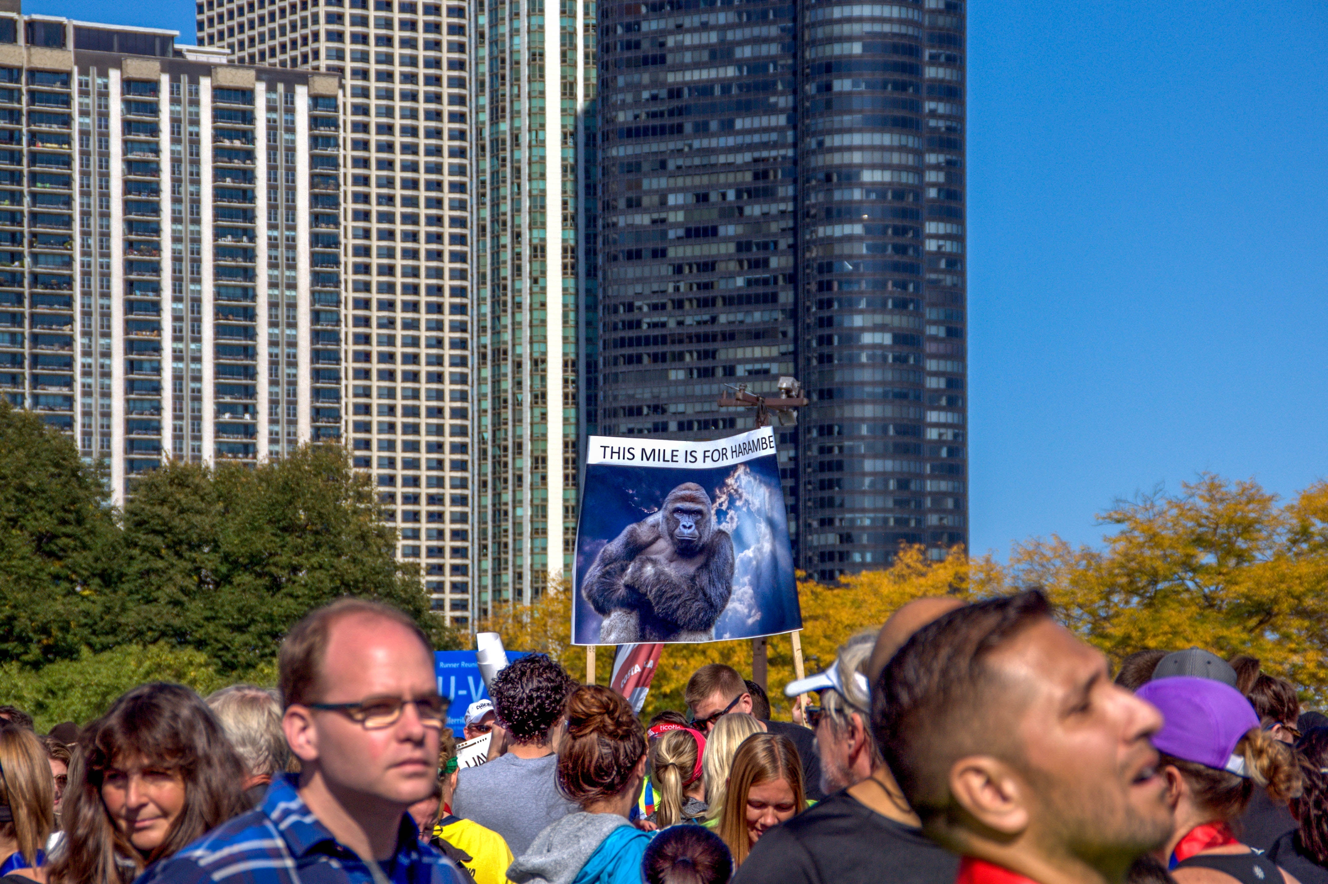 Photo: ChicagoPhotographer / Shutterstock.com