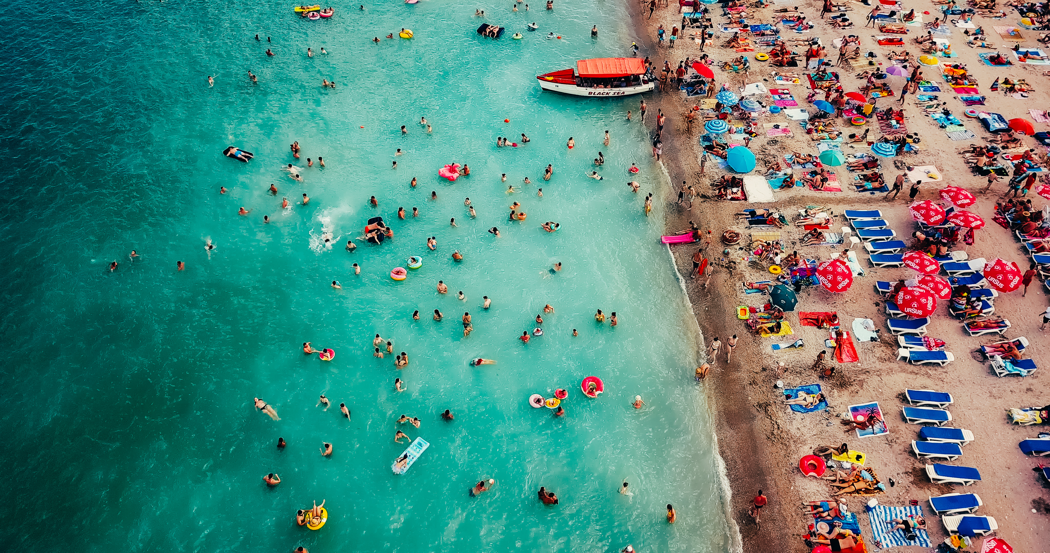 Photo: Radu Bercan / Shutterstock.com