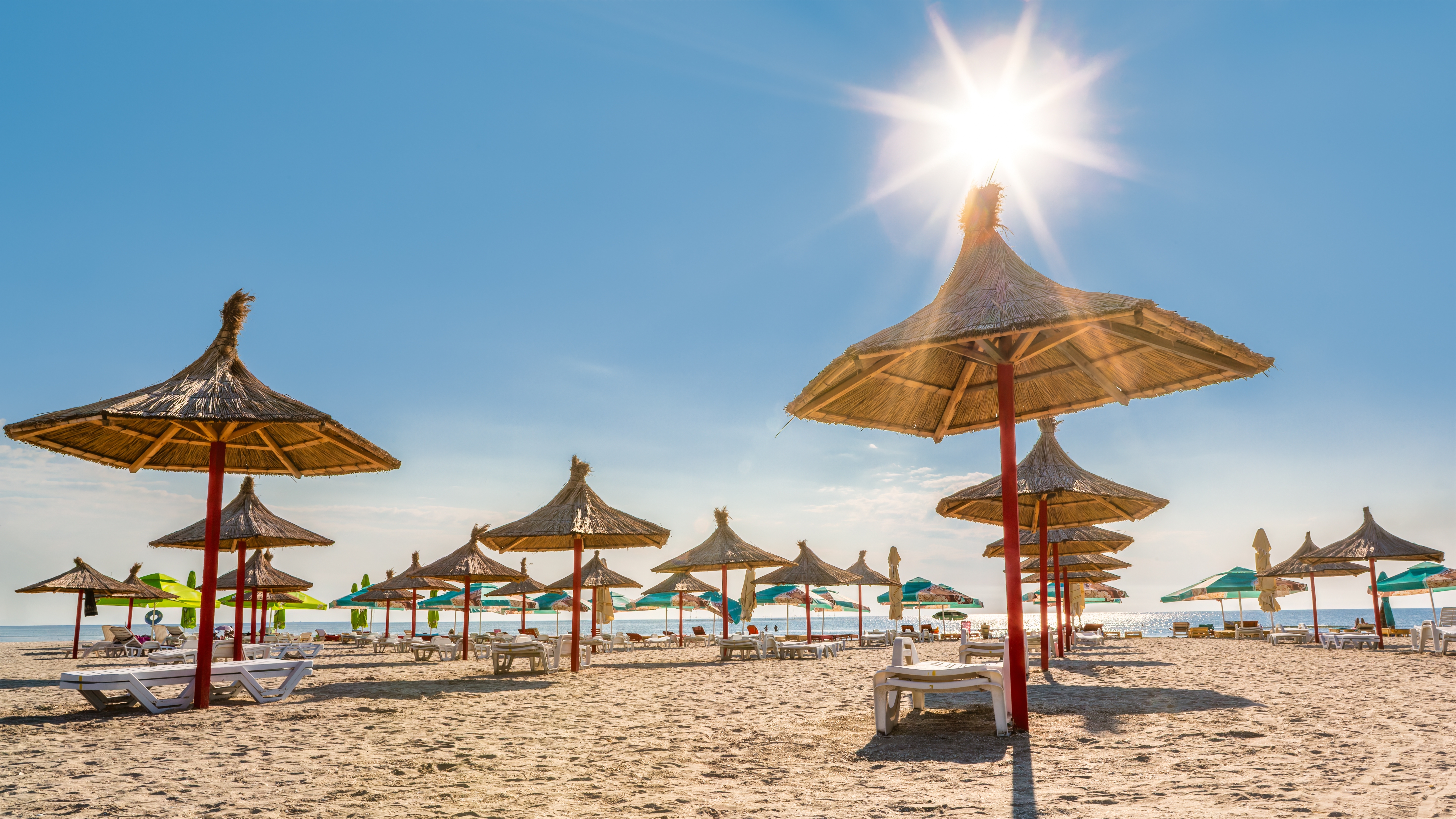 Photo: Shutterstock